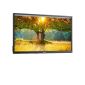 Dell Professional P2417H - 24 inch - 1920x1080 - DP - HDMI - VGA - Black - Without stand