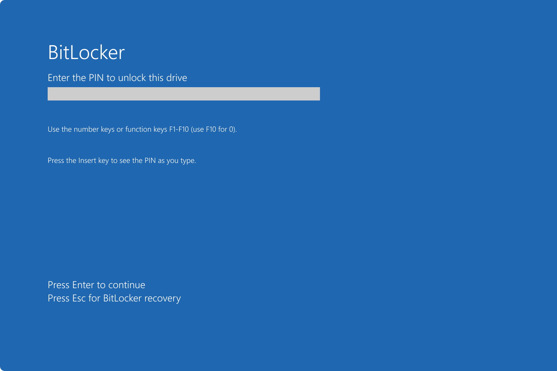 bypass bitlocker