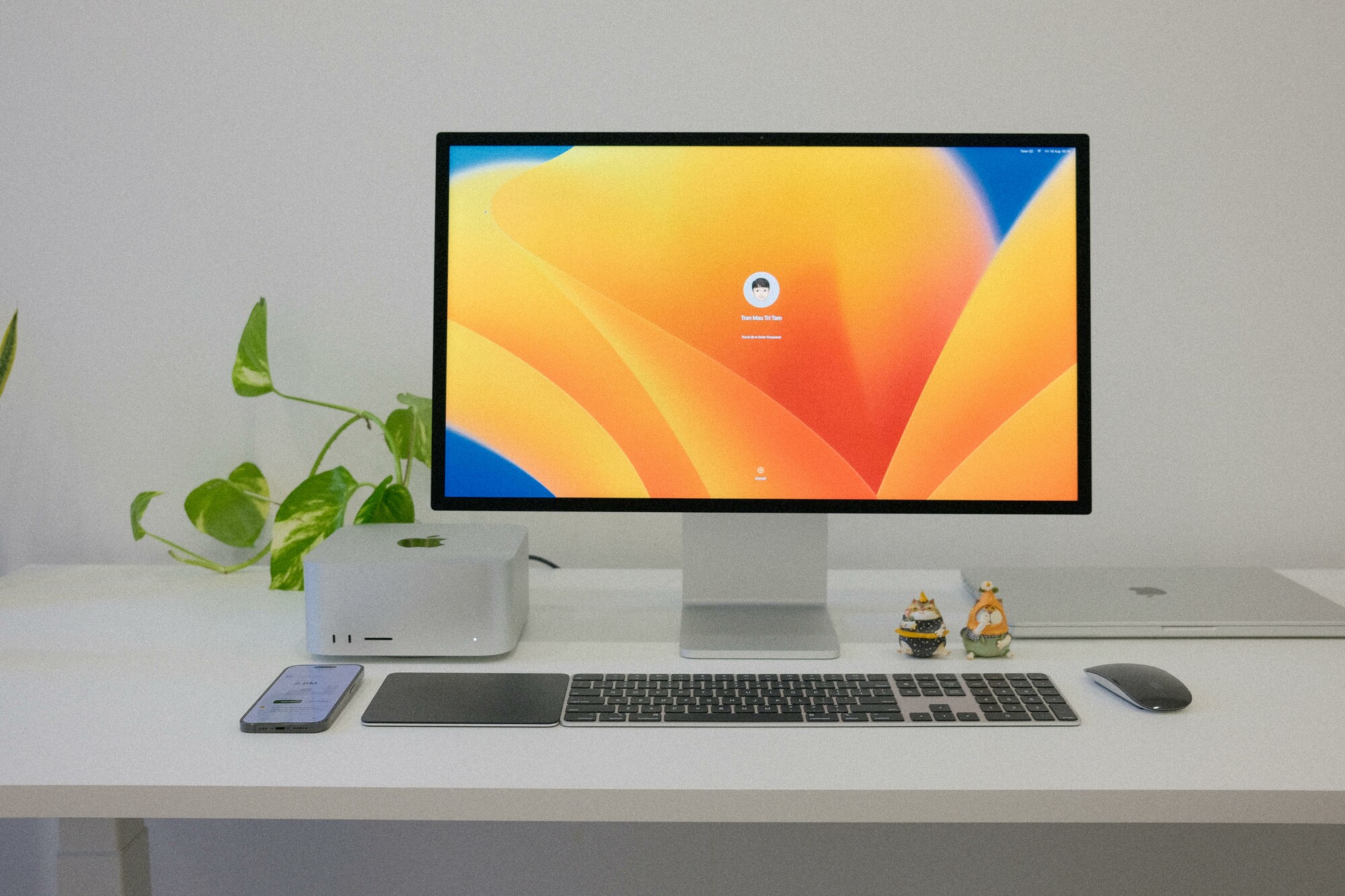 Monitor Apple Emag Apple or Samsung monitor: which one suits you best?
